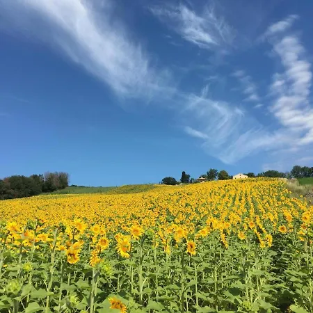 Casale Dei Cinque Colli Apartament Ostra