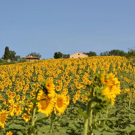 Casale Dei Cinque Colli *