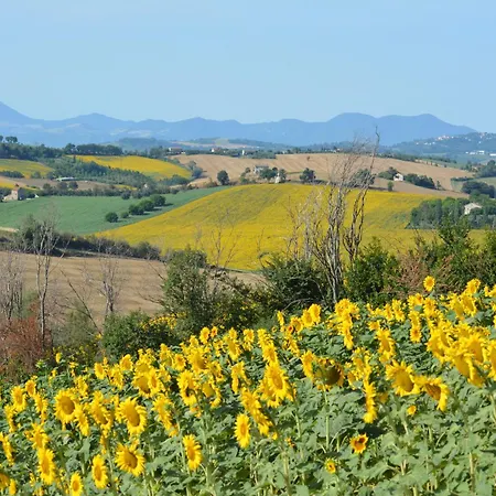 Casale Dei Cinque Colli