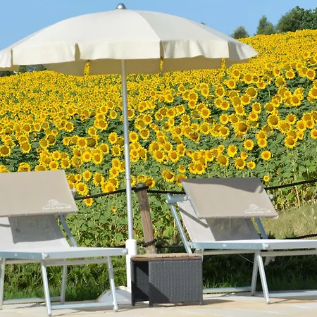 Casale Dei Cinque Colli Ostra